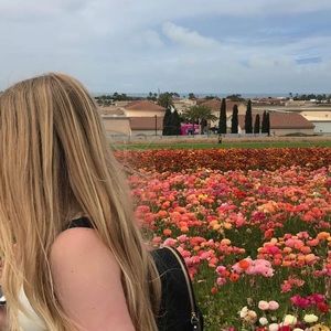 Meet your Posher, Laci